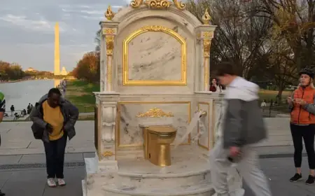 Golden Toilet Installation on National Mall Satirizes Trump White House Renovation