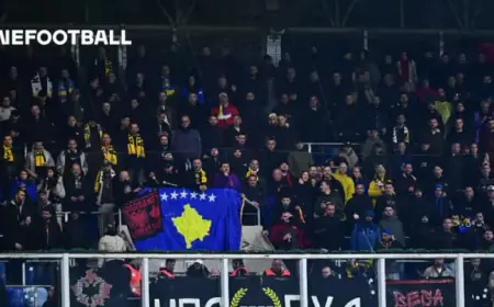 13,000km Journey & Free Tea: Fans Celebrate Before World Cup Showdown!