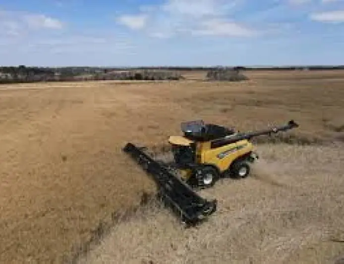Kangaroo Island farmers and Parndana signal local resilience