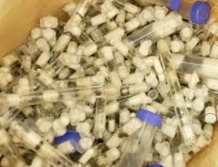 Zhang Kequn Arrested as Kenyan Queen Ants Found Hidden in Luggage