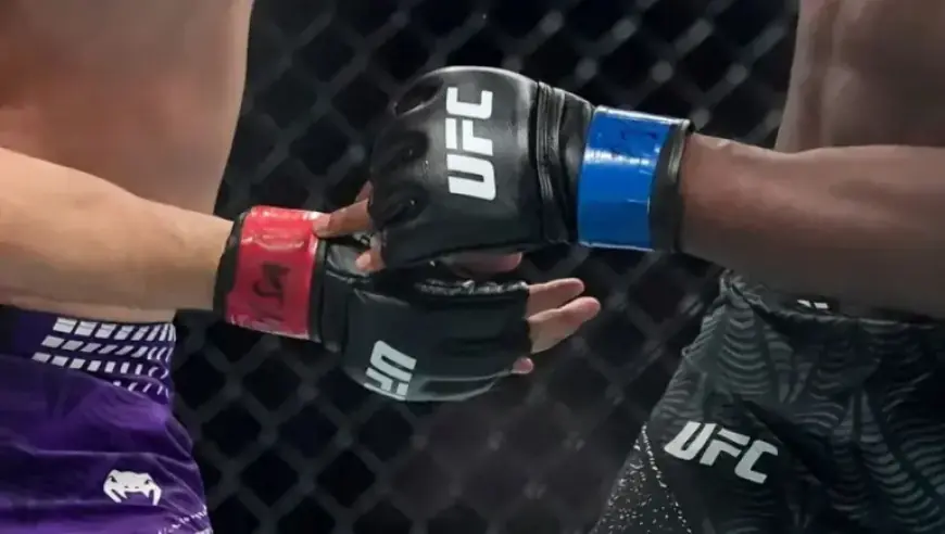 UFC Mexico: Predictions & Odds for Damian Pinas vs. Wes Schultz