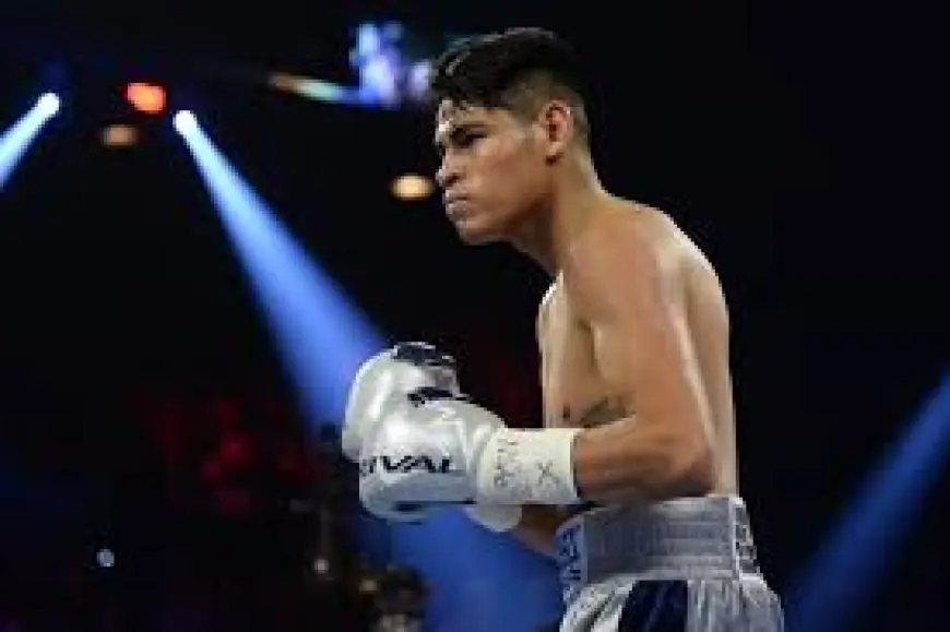 Navarrete Vs Nunez — navarrete vs nunez: Expert picks and card preview