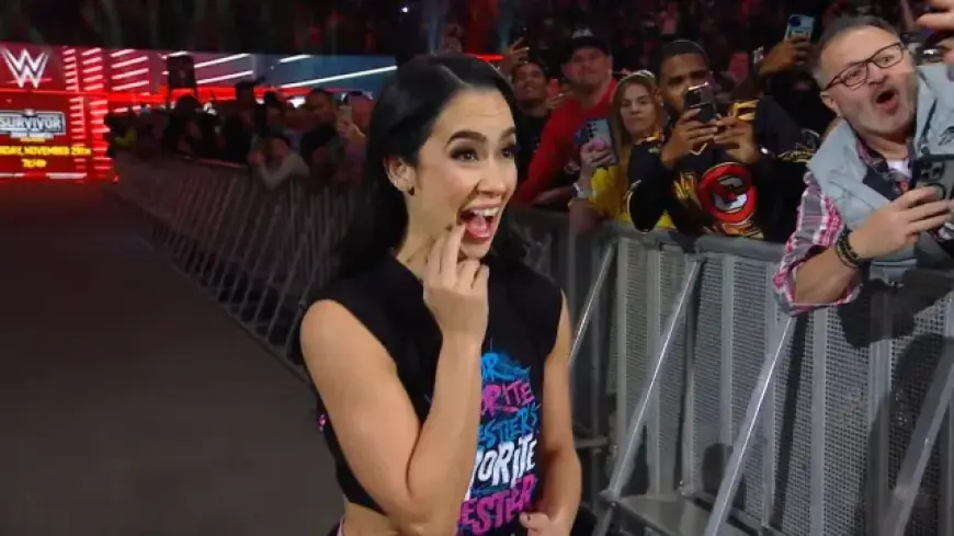 AJ Lee Unveils Dream Match Possibility with Current WWE Star