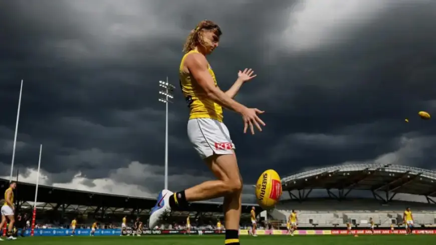 Dees and Tigers Triumph Amidst Pre-Season Turmoil