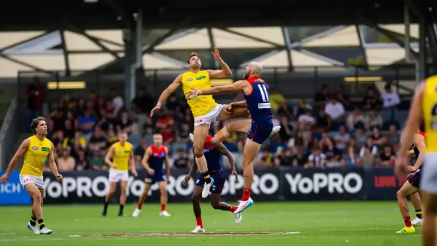 Lightning Forces Abandonment of Dees-Tigers Practice Match After Multiple Delays