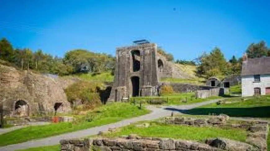 St. David's Day weekend brings dragons, pilgrimages and concerts to St Davids and the West Midlands