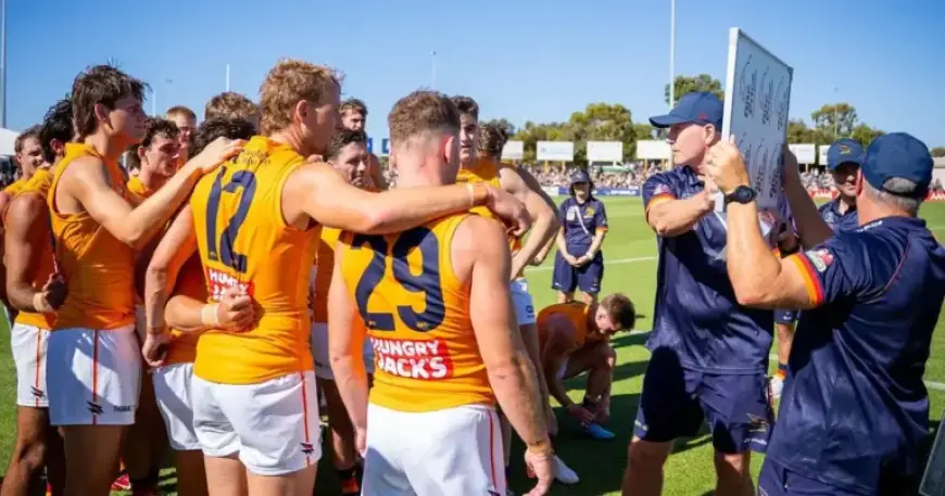 Adelaide Crows Video Hub: Latest Highlights and Clips