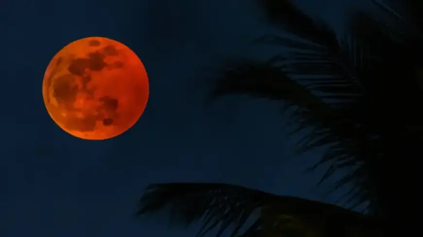 Blood Moon 2026: Witness the Last Eclipse Before 2029