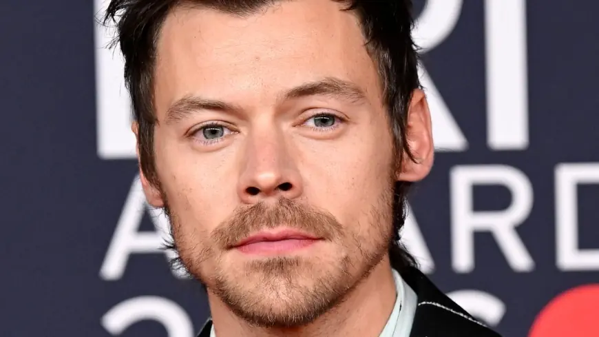 Harry Styles — how harry styles opened the Brit awards