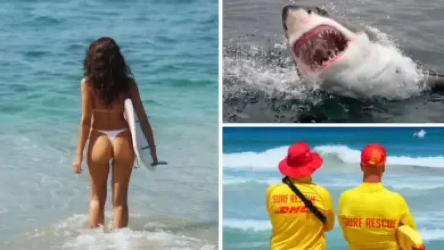 Matildas Face Last-Minute Injury Crisis Ahead of Match