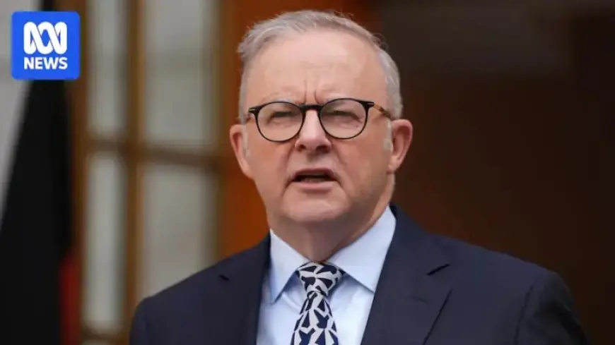 Albanese Supports US-Israel Strikes, Reflecting Global Shift