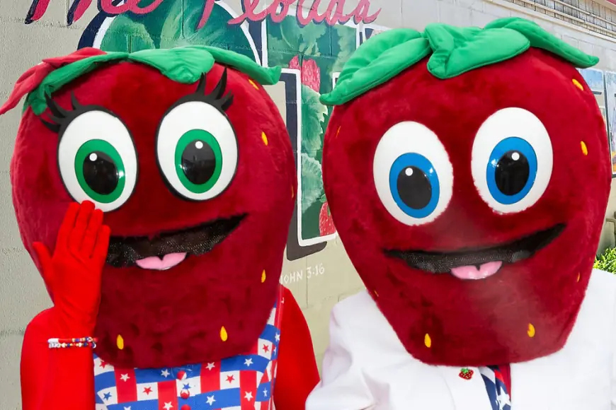 Strawberry Festival 2026 Season Arrives, With Bigger Crowds, Higher Costs, and a Growing Tug-of-War Over What These Events Are For