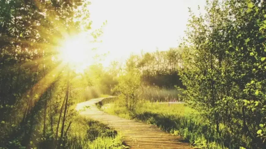 Daylight Saving Time Fuels MAHA vs. MAGA Separation Debate