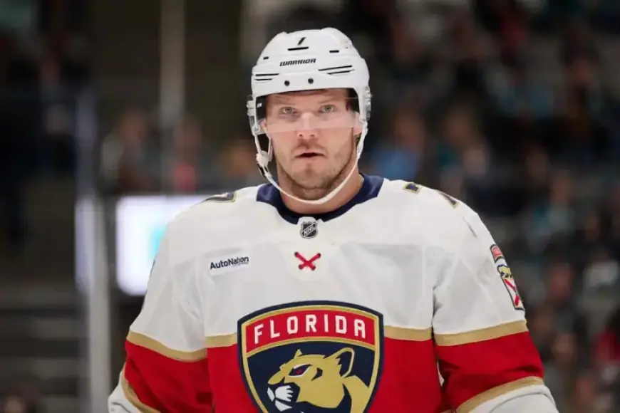 Panthers Activate Kulikov, Move Schwindt to Injured Reserve