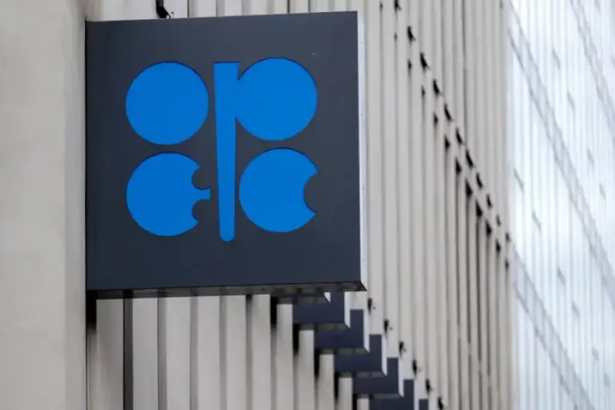 Amber Kanwar Analyzes Investor Moves Post-Iran Attack