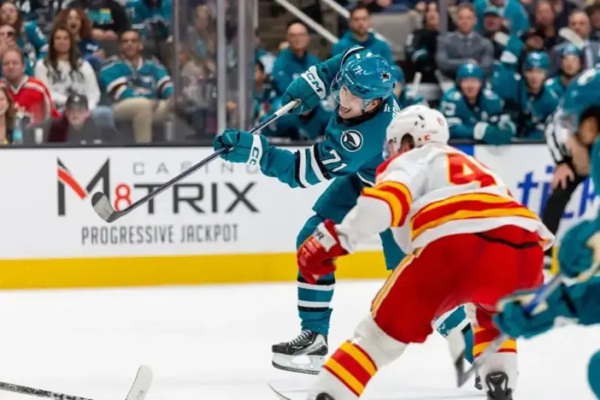 Sharks Thrive as Contenders While Jets Struggle Near the Bottom