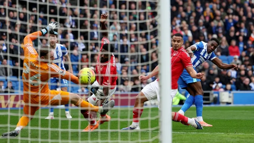 Danny Welbeck strike helps Brighton beat Nottingham Forest and heap pressure on Vítor Pereira