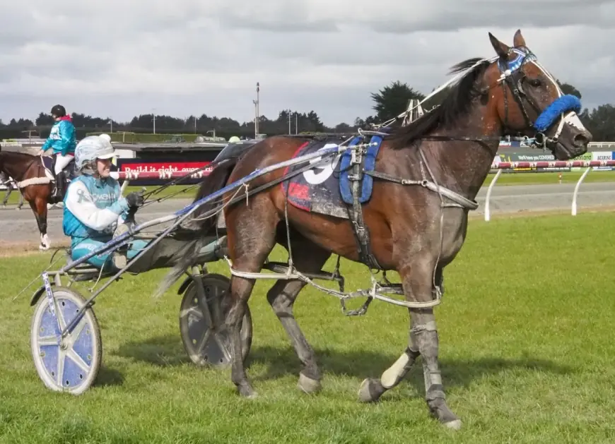 Southland: TV Drama, Vessem’s Cup Win and Tennis Opener