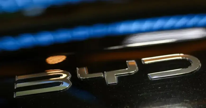 BYD Vehicle Sales Plunge to Pandemic-Low in February