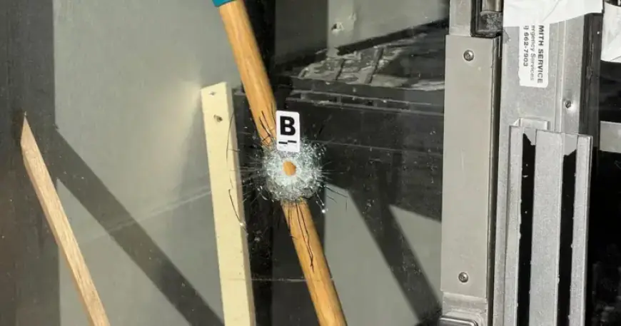 Bullets Hit Thornhill Gym of Iranian-Canadian Activist in Shocking Incident