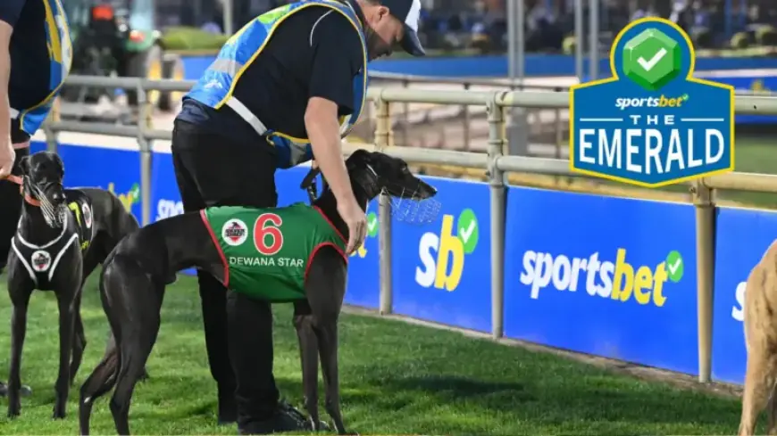 Dewana Star Advances to Sportsbet Emerald Final