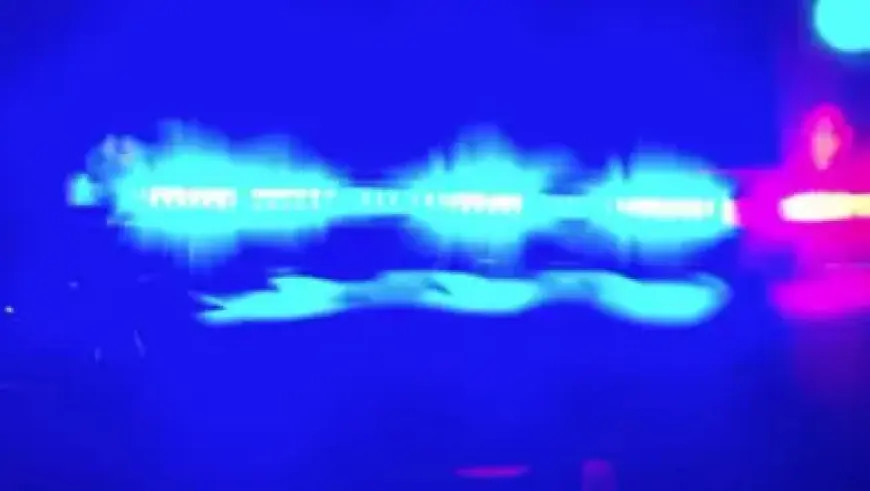 Metallica to Rock Las Vegas Sphere with Eight-Show Residency