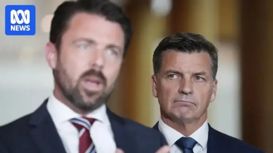 Coalition Labels Australian Children in Syria as Terrorist ‘Sympathisers’