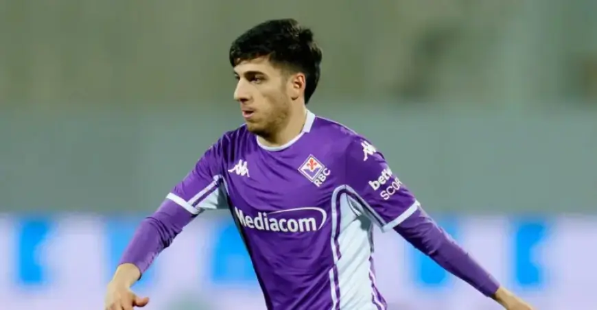 Udinese vs Fiorentina Match Preview: Key Insights and Analysis