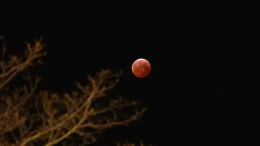Amateur Astronomer Explains When and Where to See Tuesday’s Blood Worm Moon