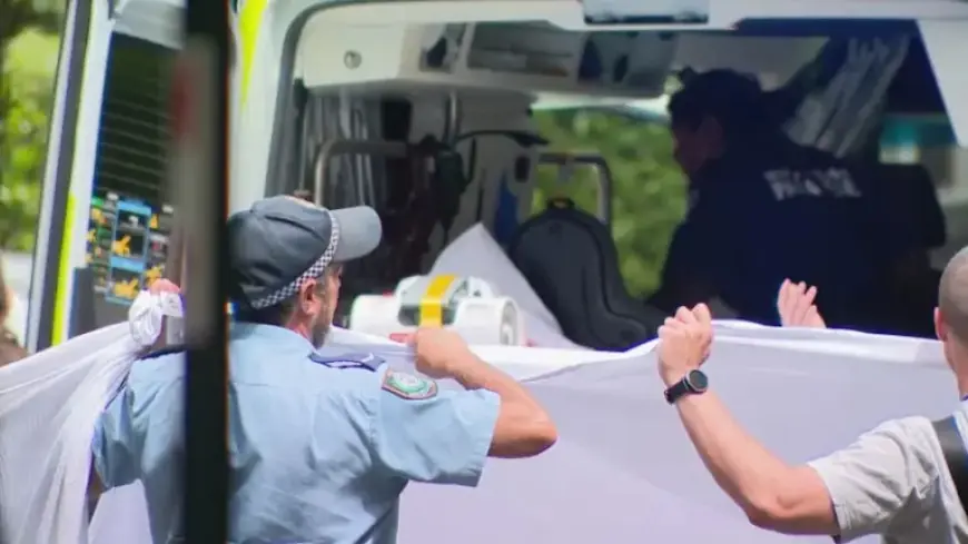 Police Fatally Shoot Man in Inner Sydney Encounter