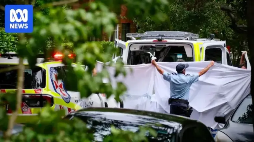 Police Shoot Armed Man Following Reports of Two Women Assaulted