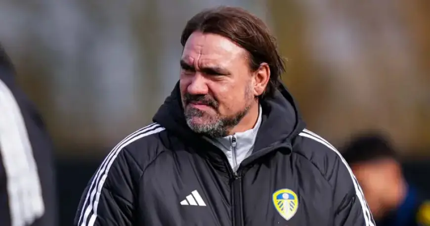 Daniel Farke Updates on Team Fitness Before Sunderland Match