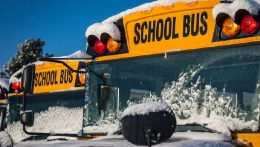 Crucial Primary Contests Unfold in Texas