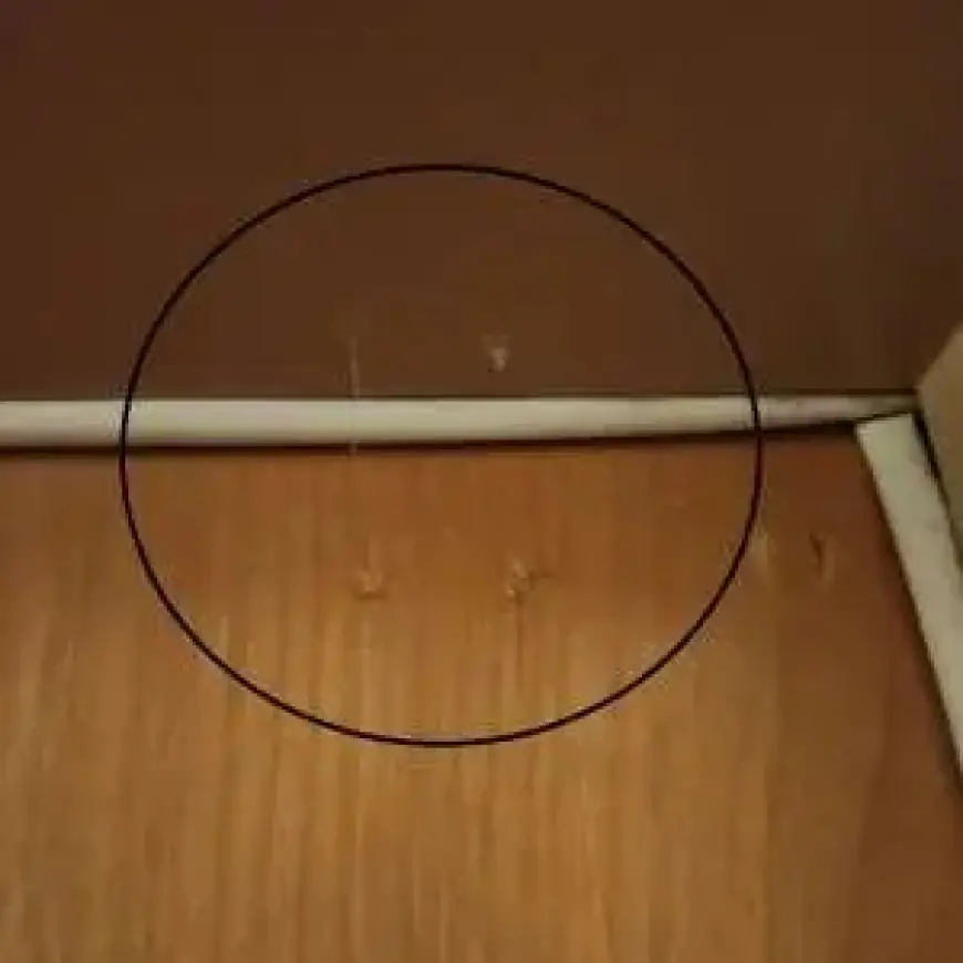 VPD Alerts on Surge of Persistent Break-and-Enter Cases