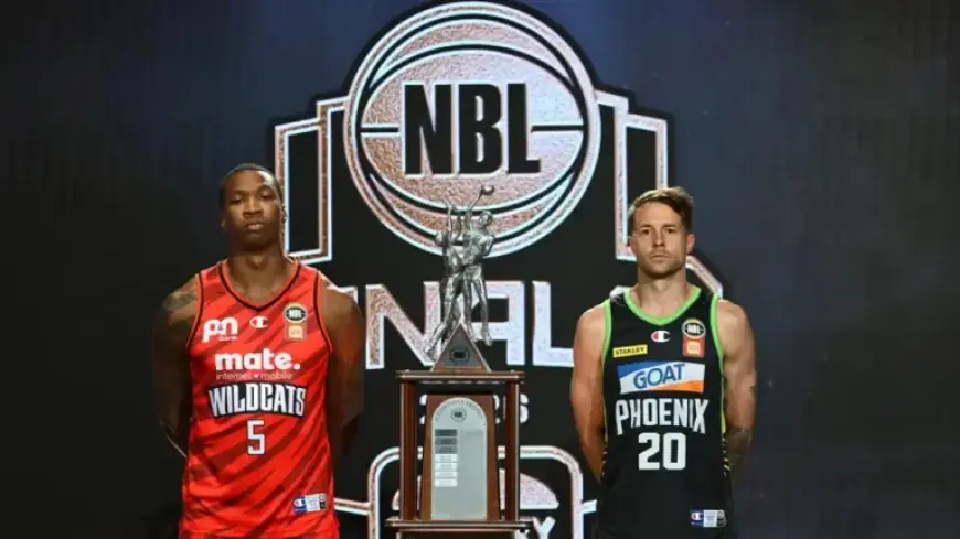 Dark Horse Aims to Break NBL Playoff Hoodoo