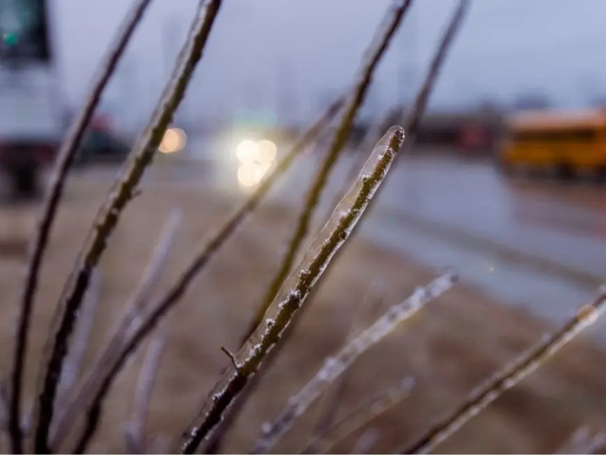 Wmur School Closings: New Hampshire braces for snow, freezing rain and big temperature swings