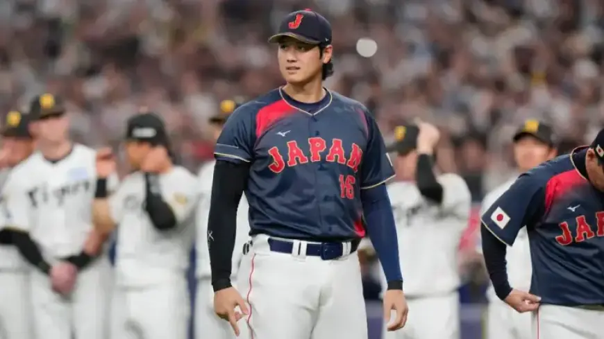 Top 15 Players to Watch at the World Baseball Classic