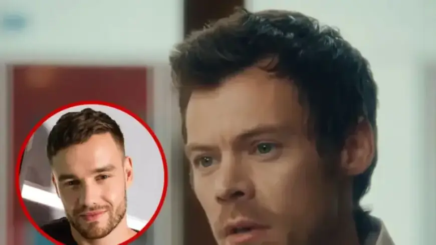Harry Styles Criticizes Public for Co-opting Grief Over Liam Payne