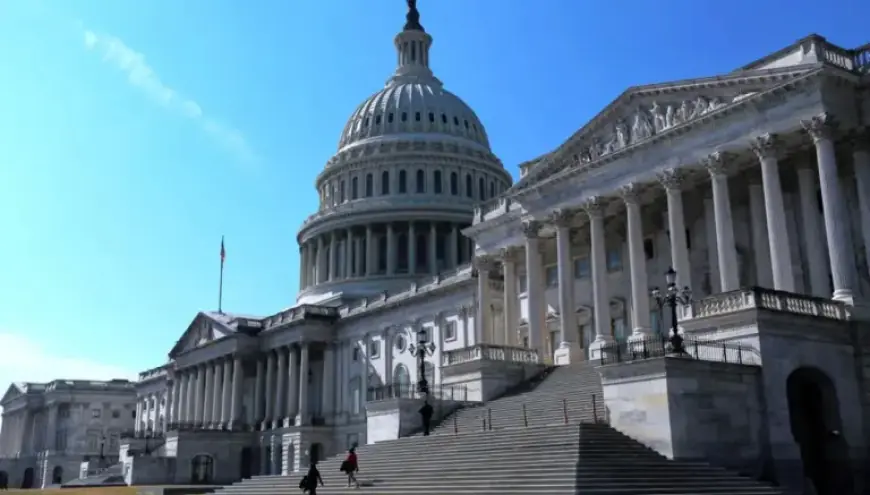 North Carolina Senate Candidate Removed from Hearing Amid Anti-War Protest