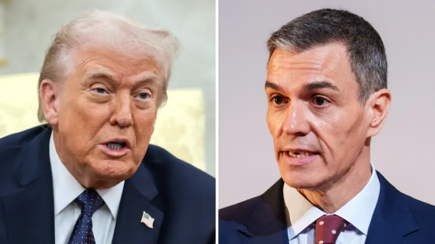 Trump Spain Rift Deepens After Trade Threat, Madrid Refuses US Base Access For Iran Strikes