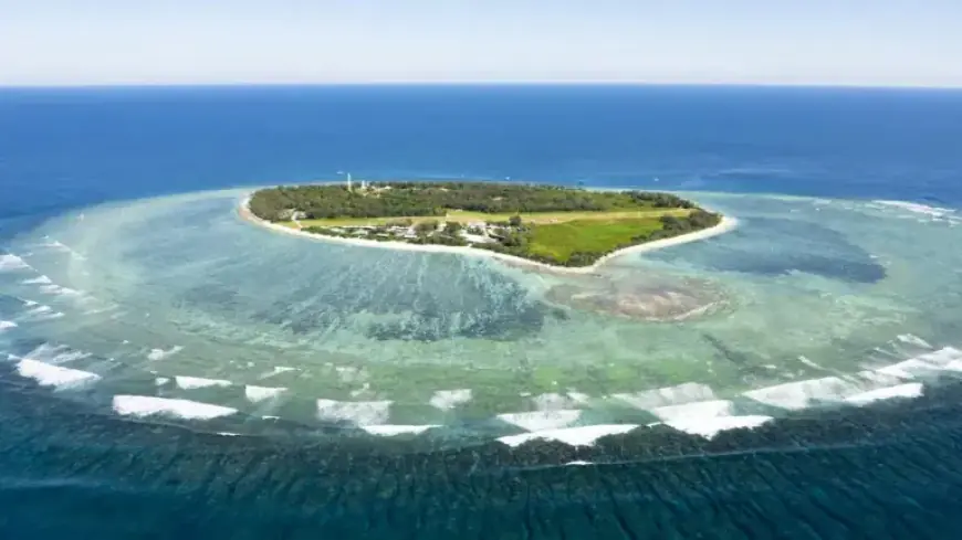 Shark Attacks Man off Queensland Coast