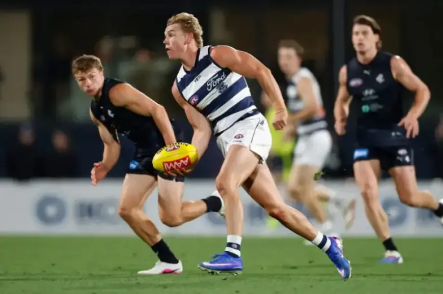 Scott Supports Cat’s AFL Comeback After 17-Month Hiatus