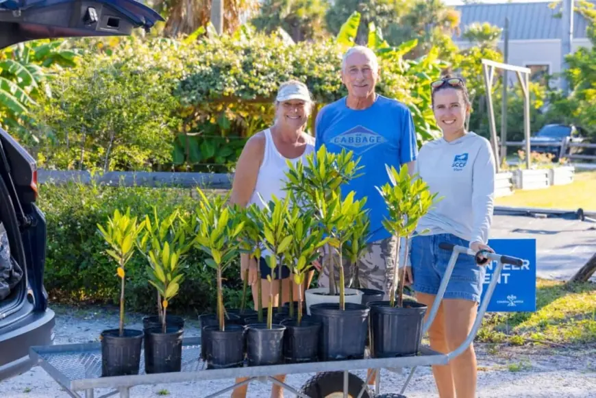 Captiva Island Sees Record-Breaking Mangrove Adoption Season