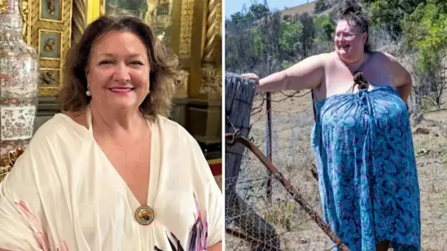 Gina Rinehart’s Fence Dispute with Pensioner Resolved Privately