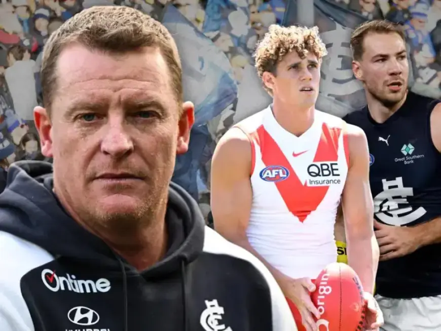 Blues Fans Decide: Charlie vs Harry, Voss’ Fate Hangs in Balance