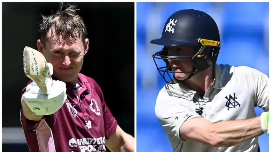 Marnus Triumphs with Top Award; BBL Star Shines in Shield Wrap