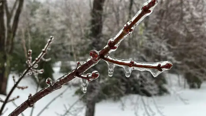 Freezing Rain to Hit Waterloo Region and Guelph Tonight