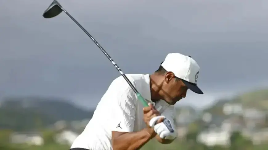 PGA Tour Star Hit with $46M Setback During Arnold Palmer Invitational