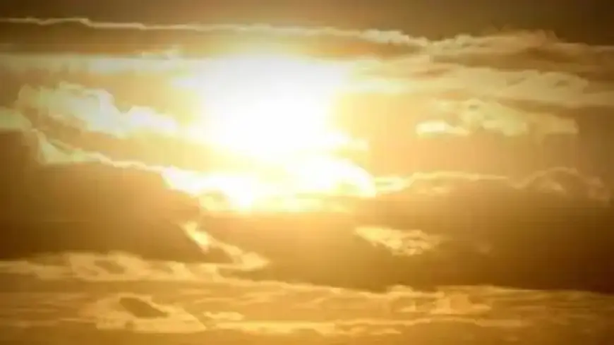 Brisbane Swelters at 31°C Post-Showers Amid Marine Wind Alert