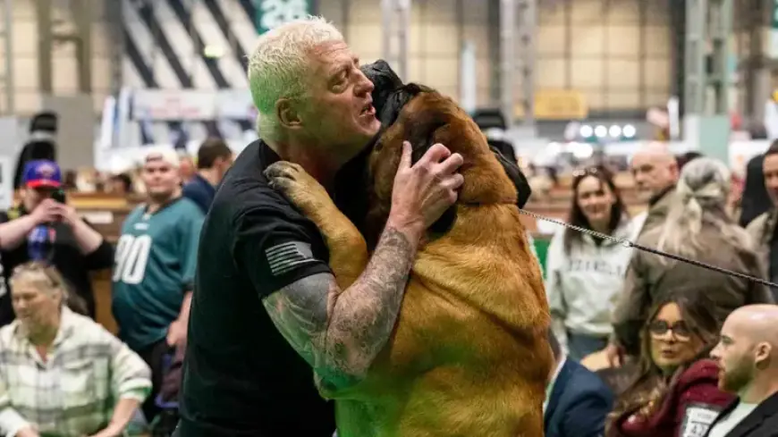 AEW Star Dustin Rhodes’ Mastiff Wins at World’s Largest Dog Show